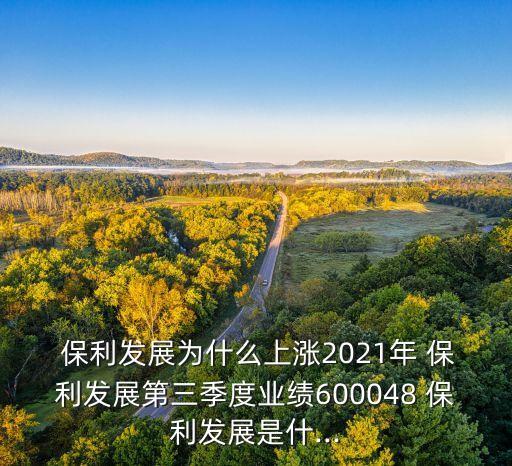  保利發展為什么上漲2021年 保利發展第三季度業績600048 保利發展是什...