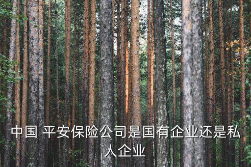 中國 平安保險公司是國有企業還是私人企業