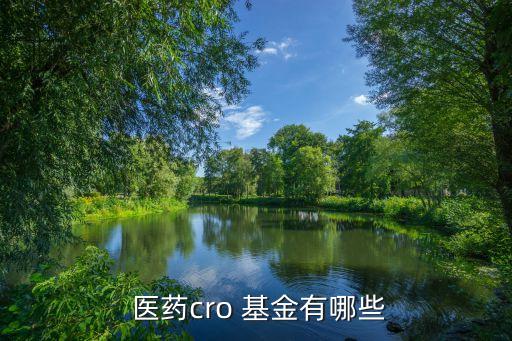醫藥指數杠桿基金,創業板指數杠桿基金