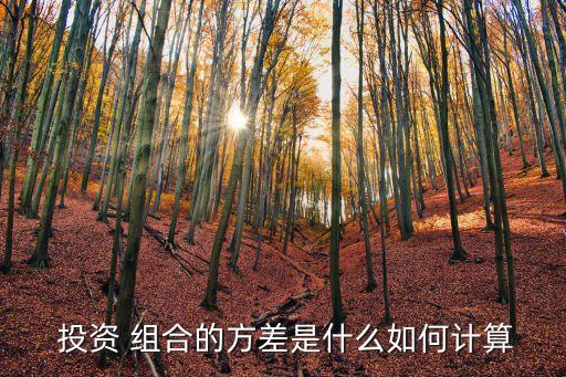 基金投資組合比例,指數基金投資組合