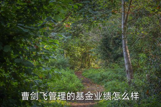曹劍飛管理的基金業績怎么樣
