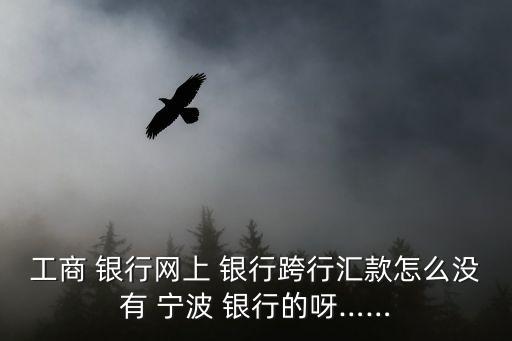 寧波銀行怎么不能轉賬,對公轉賬寧波銀行怎么找不到