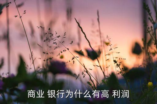商業 銀行為什么有高 利潤