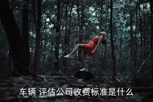 車輛 評估公司收費(fèi)標(biāo)準(zhǔn)是什么