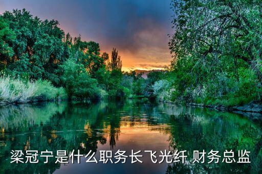 梁冠寧是什么職務長飛光纖 財務總監