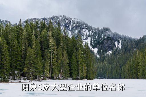 山西陽光發電公司