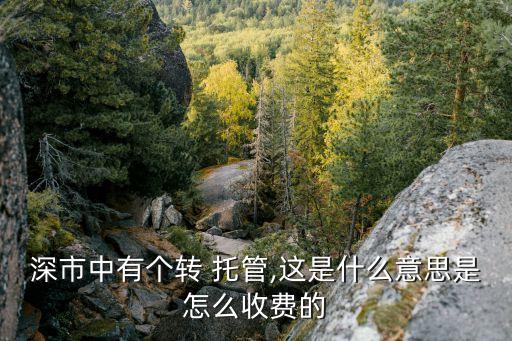 什么叫股票托管轉入,托管轉入的股票可以賣嗎