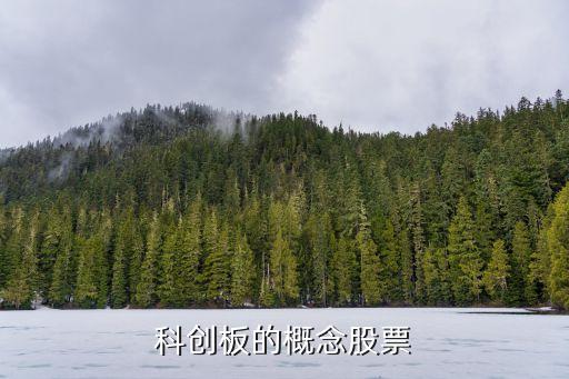 上海自貿區的龍頭股,海南自貿區概念龍頭股一覽