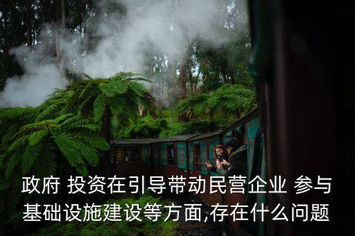 政府 投資在引導帶動民營企業 參與基礎設施建設等方面,存在什么問題