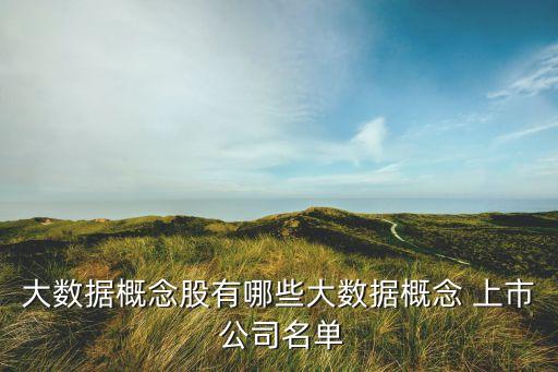 大數據概念股有哪些大數據概念 上市 公司名單