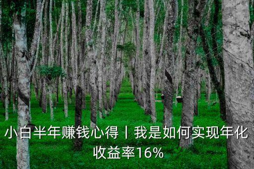 小白半年賺錢心得丨我是如何實現年化 收益率16%