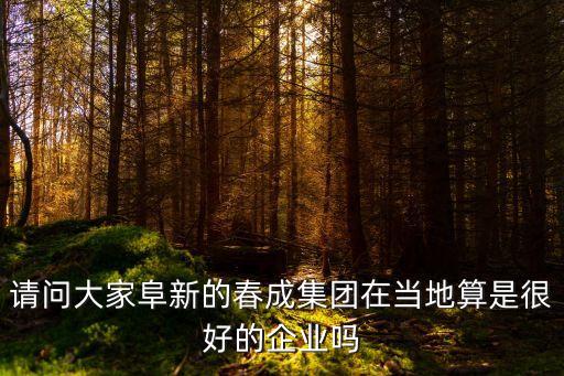 請問大家阜新的春成集團在當地算是很好的企業嗎