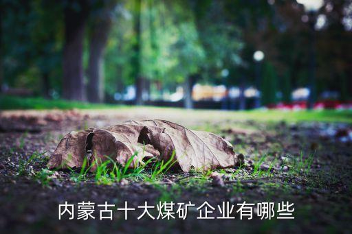 內蒙古十大煤礦企業有哪些