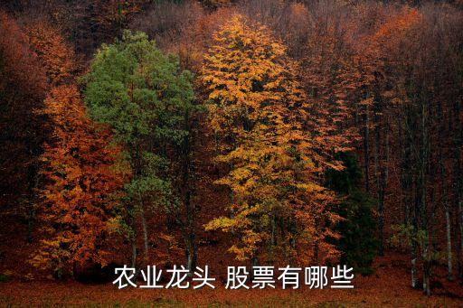 超大現代農業股票,香港超大現代農業集團公司