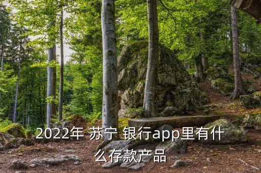 2022年 蘇寧 銀行app里有什么存款產品