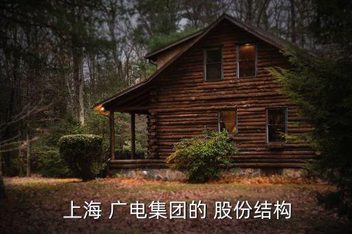  上海 廣電集團的 股份結構