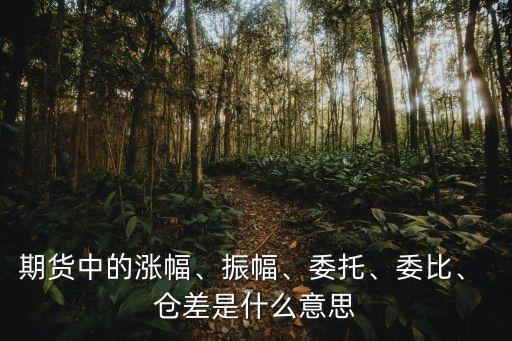 期貨中的漲幅、振幅、委托、委比、 倉差是什么意思