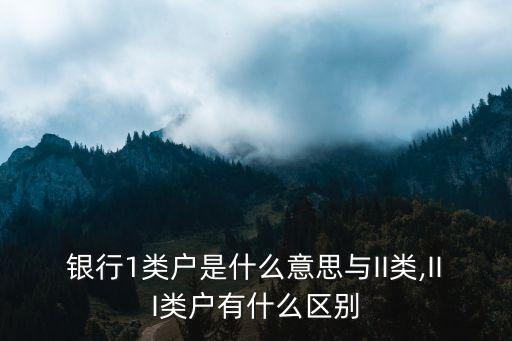 銀行1類戶是什么意思與II類,III類戶有什么區別