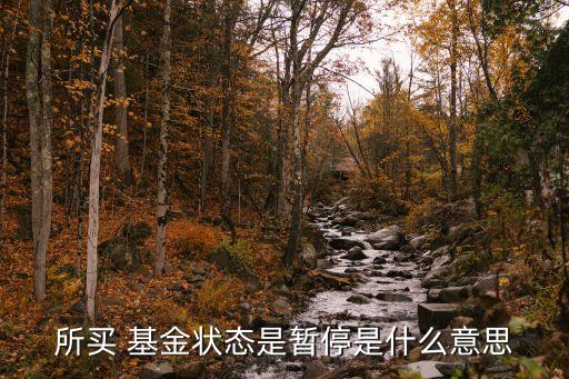 所買 基金狀態是暫停是什么意思