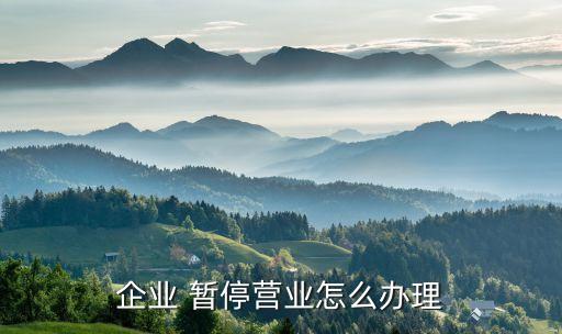 企業 暫停營業怎么辦理