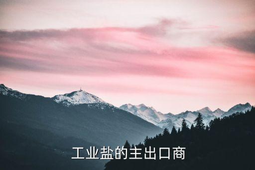 工業鹽的主出口商