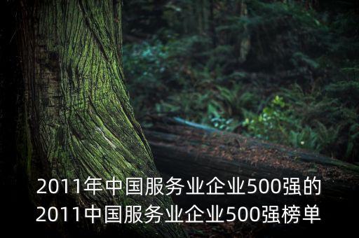 2011年中國服務業企業500強的2011中國服務業企業500強榜單