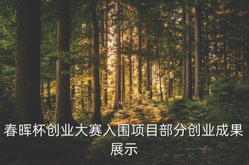 上海中南茂創投資有限公司