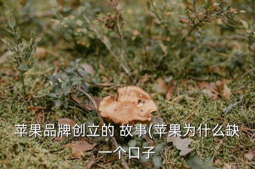 蘋果品牌創立的 故事(蘋果為什么缺一個口子