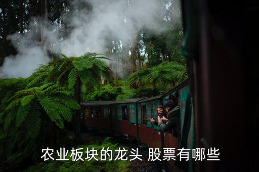  農業板塊的龍頭 股票有哪些