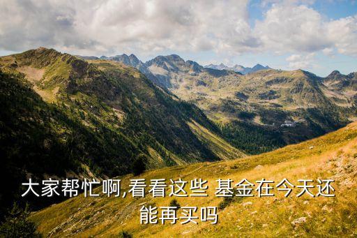 大家幫忙啊,看看這些 基金在今天還能再買嗎