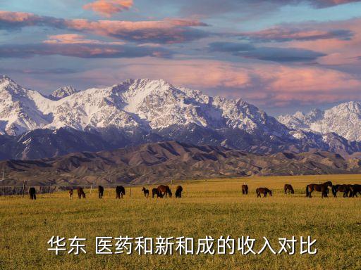 華東醫藥供應鏈管理公司,南京華東醫藥醫療供應鏈管理有限公司
