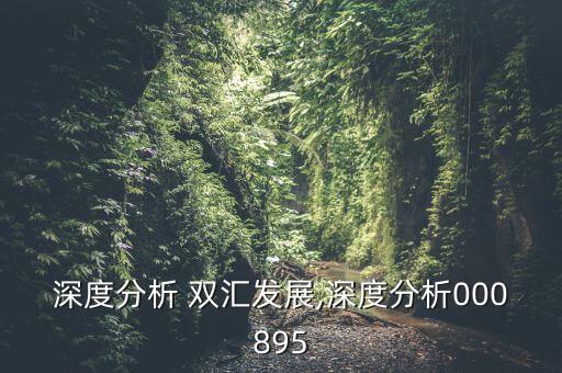 深度分析 雙匯發展,深度分析000895