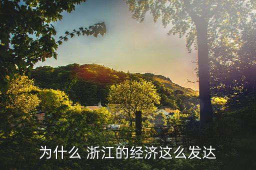 為什么 浙江的經濟這么發達