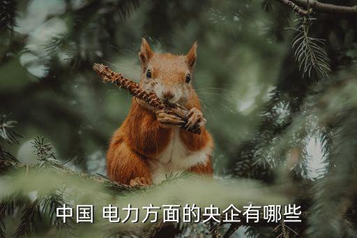 中國電力建設集團有限公司下屬上市公司,黃衛根,中國電力建設集團有限公司
