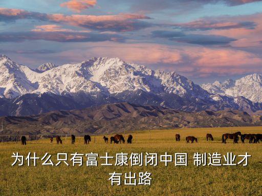 為什么只有富士康倒閉中國 制造業才有出路