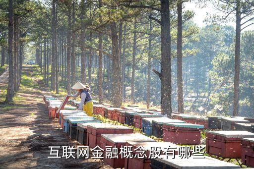 互聯網金融概念股有哪些