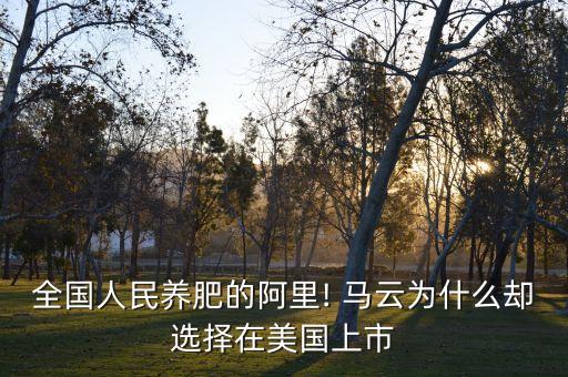 全國人民養肥的阿里! 馬云為什么卻選擇在美國上市