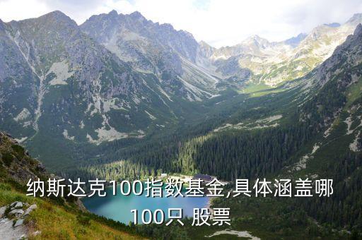 納斯達克100指數基金,具體涵蓋哪100只 股票