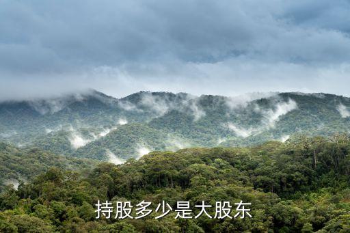 大公司總裁控股比例,天地控股海南區域公司總裁