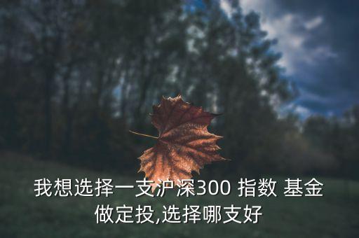 選哪種指數基金好,哪種是指數基金