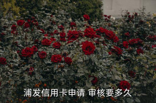 浦發信用卡申請 審核要多久