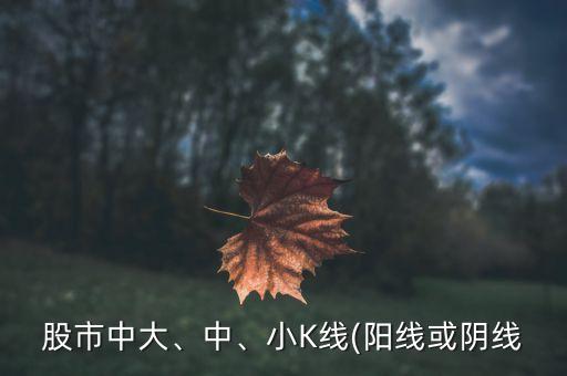 股市中大、中、小K線(陽線或陰線