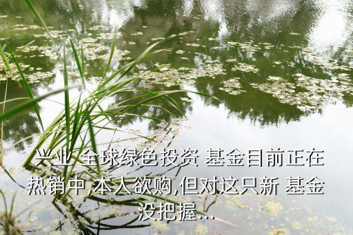  興業 全球綠色投資 基金目前正在熱銷中,本人欲購,但對這只新 基金沒把握...