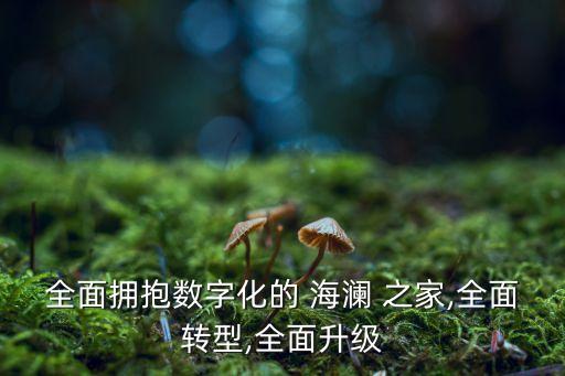 全面擁抱數字化的 海瀾 之家,全面轉型,全面升級