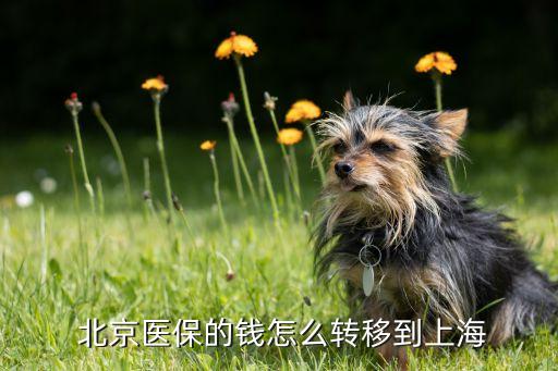 北京醫療保險轉外地,在北京交的醫療保險,在外地可以用嗎?
