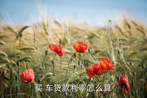 興業銀行車貸政策