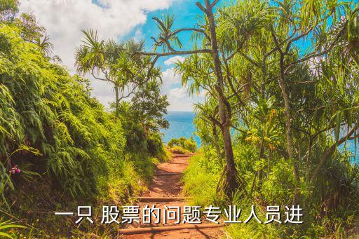 一只 股票的問題專業人員進
