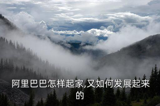  阿里巴巴怎樣起家,又如何發展起來的