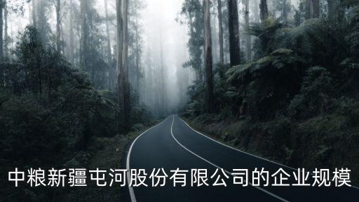 中糧新疆屯河股份有限公司的企業規模