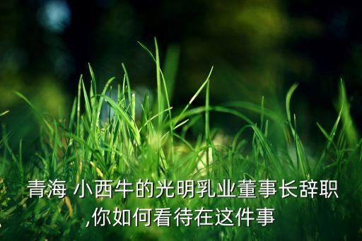  青海 小西牛的光明乳業董事長辭職,你如何看待在這件事